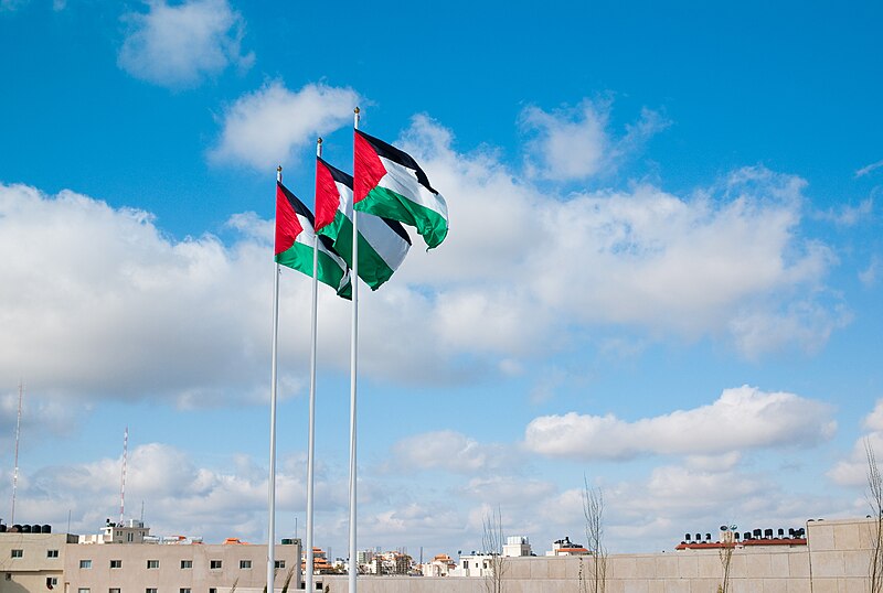 Flag photo Palestine
